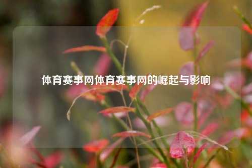 体育赛事网体育赛事网的崛起与影响