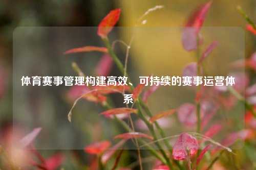 体育赛事管理构建高效、可持续的赛事运营体系