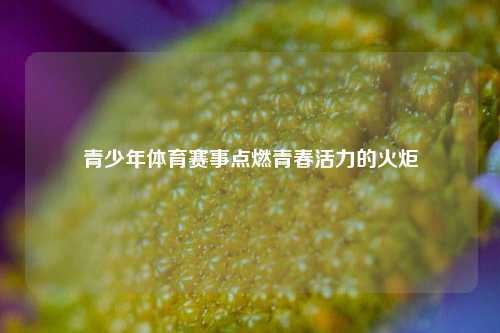 青少年体育赛事点燃青春活力的火炬