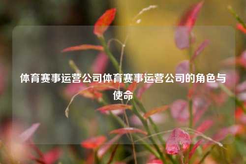 体育赛事运营公司体育赛事运营公司的角色与使命