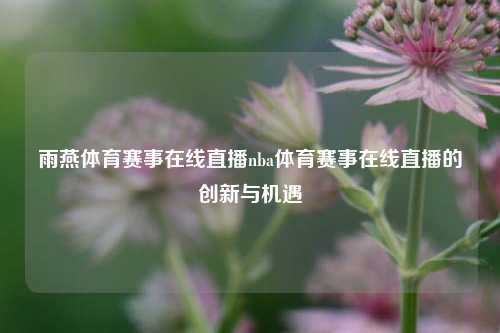 雨燕体育赛事在线直播nba体育赛事在线直播的创新与机遇