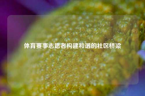 体育赛事志愿者构建和谐的社区桥梁
