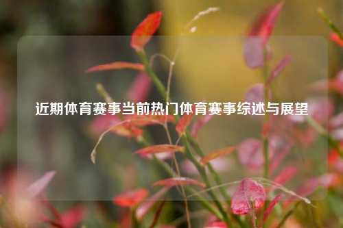 近期体育赛事当前热门体育赛事综述与展望
