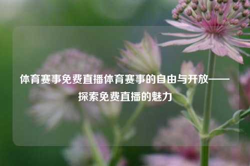体育赛事免费直播体育赛事的自由与开放——探索免费直播的魅力