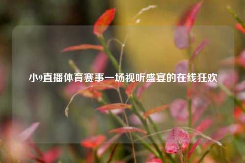 小9直播体育赛事一场视听盛宴的在线狂欢