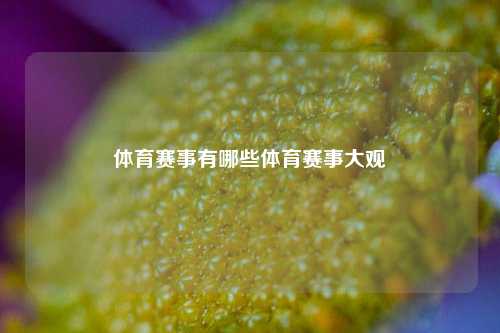体育赛事有哪些体育赛事大观