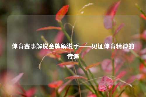 体育赛事解说金牌解说手——见证体育精神的传递
