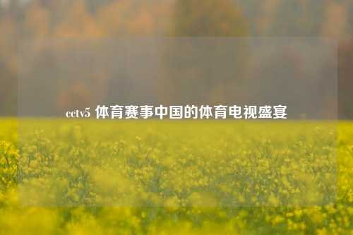 cctv5 体育赛事中国的体育电视盛宴