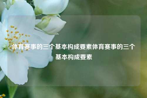 体育赛事的三个基本构成要素体育赛事的三个基本构成要素
