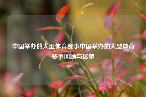 中国举办的大型体育赛事中国举办的大型体育赛事回顾与展望