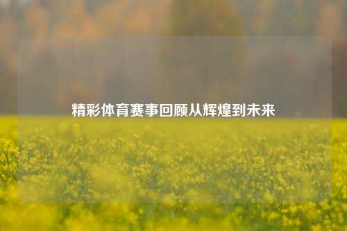 精彩体育赛事回顾从辉煌到未来