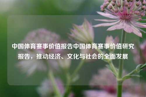 中国体育赛事价值报告中国体育赛事价值研究报告，推动经济、文化与社会的全面发展