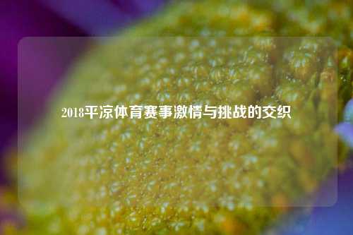 2018平凉体育赛事激情与挑战的交织