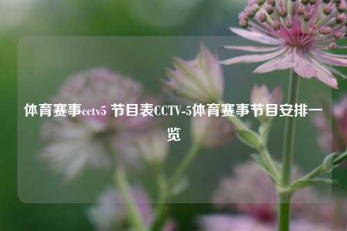体育赛事cctv5 节目表CCTV-5体育赛事节目安排一览
