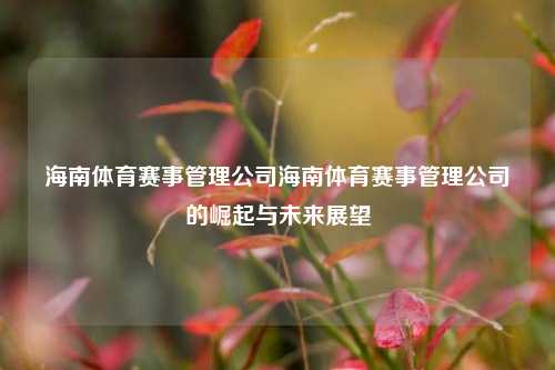 海南体育赛事管理公司海南体育赛事管理公司的崛起与未来展望