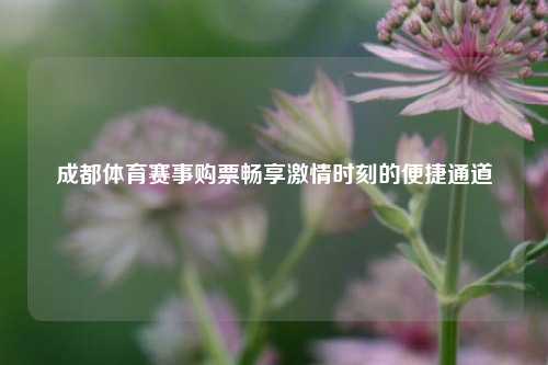 成都体育赛事购票畅享激情时刻的便捷通道