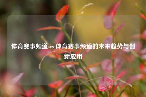 体育赛事频道size体育赛事频道的未来趋势与创新应用
