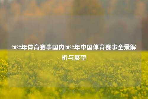 2022年体育赛事国内2022年中国体育赛事全景解析与展望
