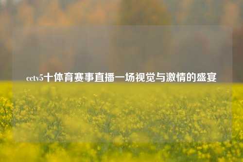cctv5十体育赛事直播一场视觉与激情的盛宴