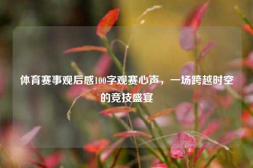 体育赛事观后感100字观赛心声，一场跨越时空的竞技盛宴