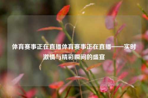 体育赛事正在直播体育赛事正在直播——实时激情与精彩瞬间的盛宴