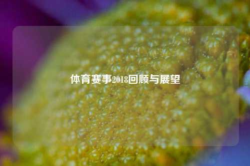 体育赛事2018回顾与展望