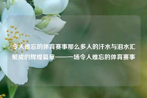 令人难忘的体育赛事那么多人的汗水与泪水汇聚成的辉煌篇章——一场令人难忘的体育赛事
