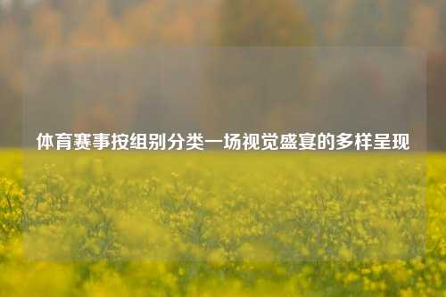 体育赛事按组别分类一场视觉盛宴的多样呈现