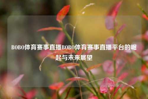 BOBO体育赛事直播BOBO体育赛事直播平台的崛起与未来展望