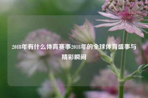 2018年有什么体育赛事2018年的全球体育盛事与精彩瞬间