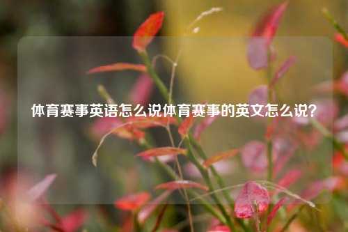 体育赛事英语怎么说体育赛事的英文怎么说？