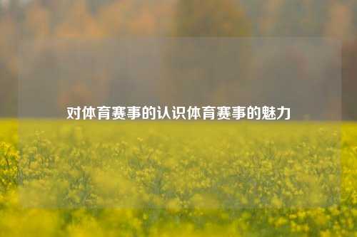 对体育赛事的认识体育赛事的魅力