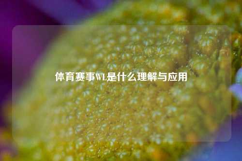 体育赛事WL是什么理解与应用