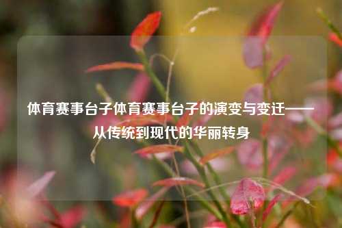 体育赛事台子体育赛事台子的演变与变迁——从传统到现代的华丽转身