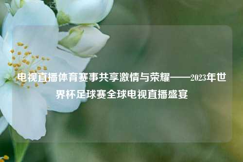 电视直播体育赛事共享激情与荣耀——2023年世界杯足球赛全球电视直播盛宴