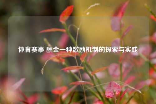 体育赛事 酬金一种激励机制的探索与实践