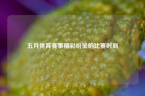 五月体育赛事精彩纷呈的比赛时刻