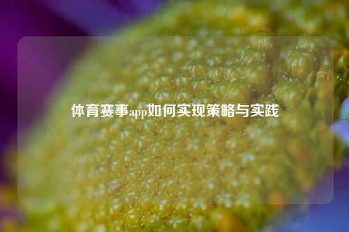 体育赛事app如何实现策略与实践