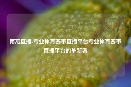 雨燕直播-专业体育赛事直播平台专业体育赛事直播平台的革新者
