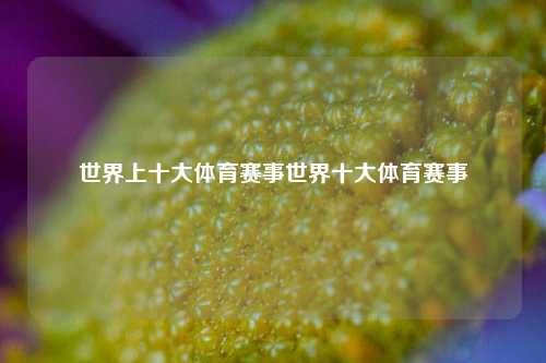 世界上十大体育赛事世界十大体育赛事