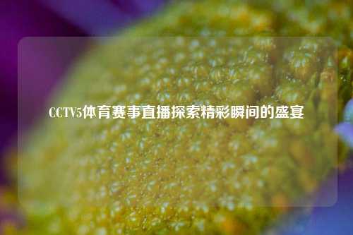 CCTV5体育赛事直播探索精彩瞬间的盛宴