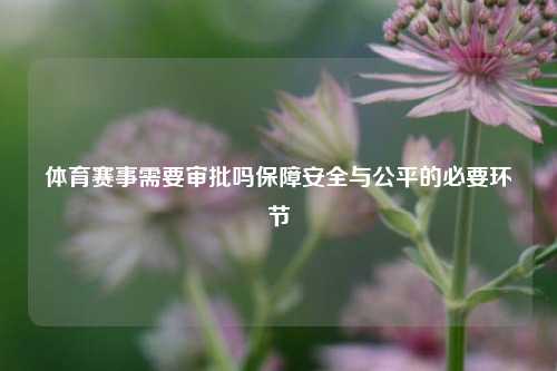体育赛事需要审批吗保障安全与公平的必要环节