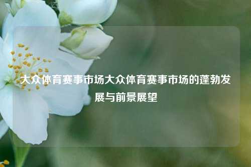 大众体育赛事市场大众体育赛事市场的蓬勃发展与前景展望
