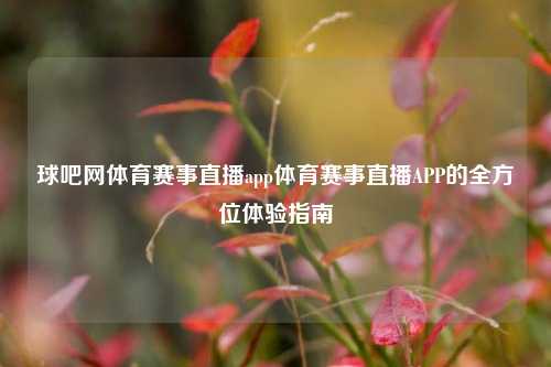 球吧网体育赛事直播app体育赛事直播APP的全方位体验指南