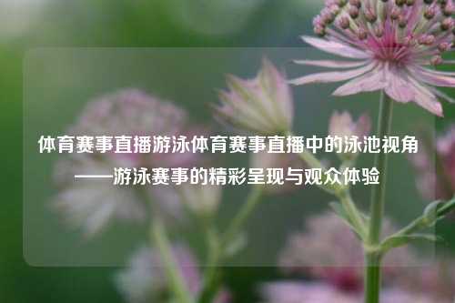 体育赛事直播游泳体育赛事直播中的泳池视角——游泳赛事的精彩呈现与观众体验
