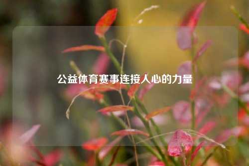 公益体育赛事连接人心的力量