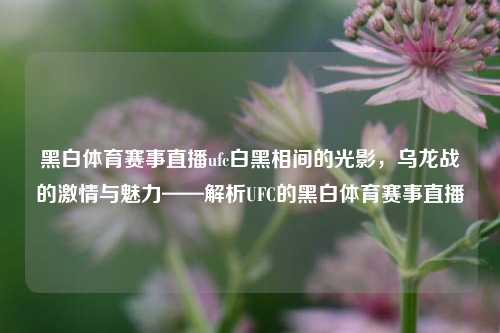 黑白体育赛事直播ufc白黑相间的光影，乌龙战的激情与魅力——解析UFC的黑白体育赛事直播