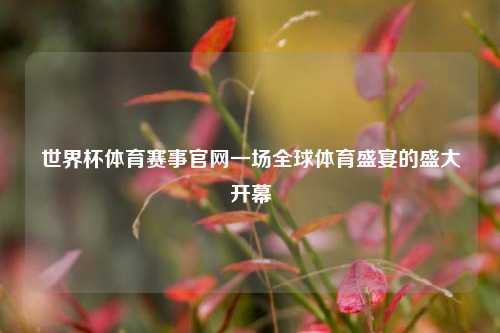 世界杯体育赛事官网一场全球体育盛宴的盛大开幕