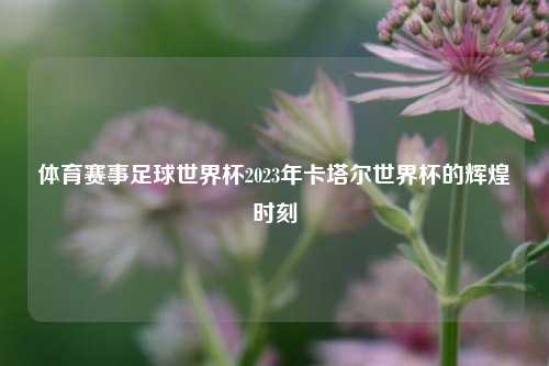 体育赛事足球世界杯2023年卡塔尔世界杯的辉煌时刻