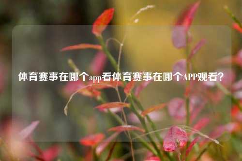 体育赛事在哪个app看体育赛事在哪个APP观看？